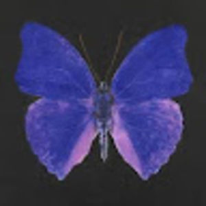 Meet your Posher, Leeah